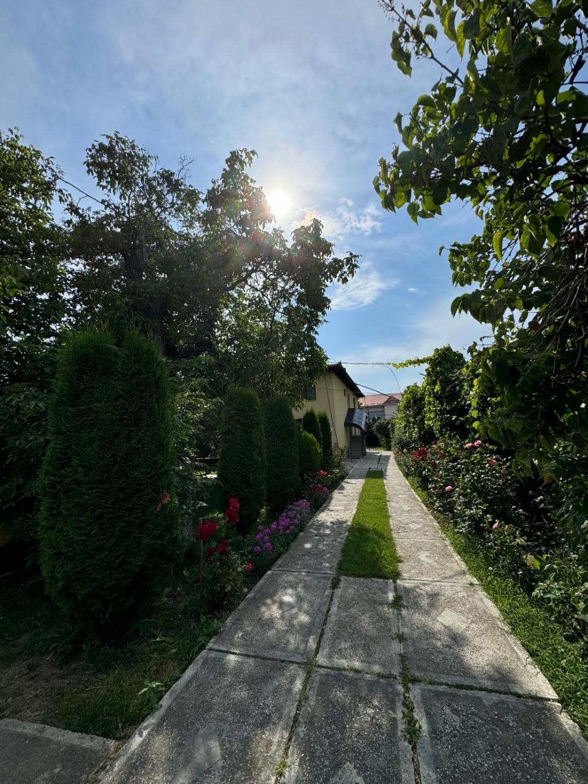 Pensiunea Cassandra Târgu Neamț Exteriör bild